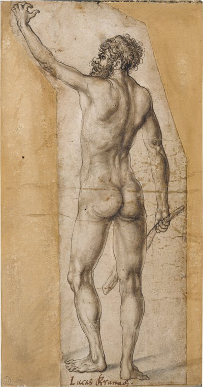 Studio di un uomo in piedi di schiena da Lucas Cranach the Elder